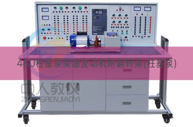 480柱塞泵柴油發(fā)動機(jī)附翻轉(zhuǎn)架(柱塞泵)(圖1)