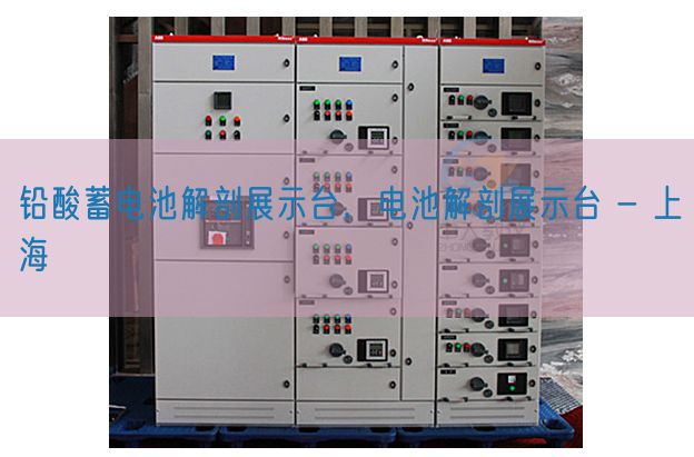 鉛酸蓄電池解剖展示臺,電池解剖展示臺 - 上海(圖1) 鉛酸蓄電池解剖展示臺,電池解剖展示臺 - 上海(圖1)
